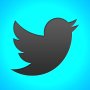 high_quality_twitter_logo_by_mikewilson1000-d60yhcw